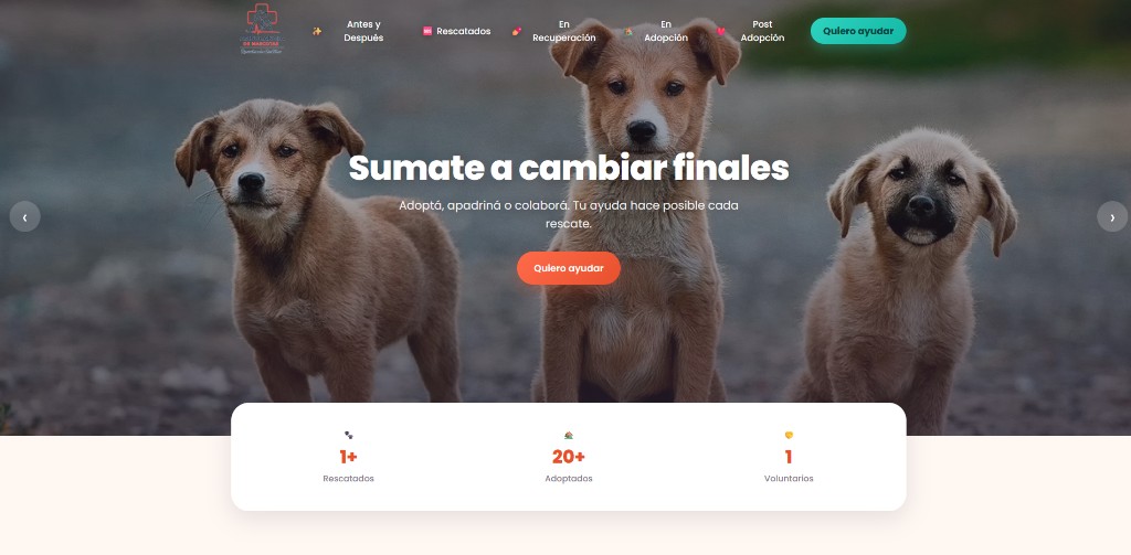 Huellas con Historia — Animales Rescatados